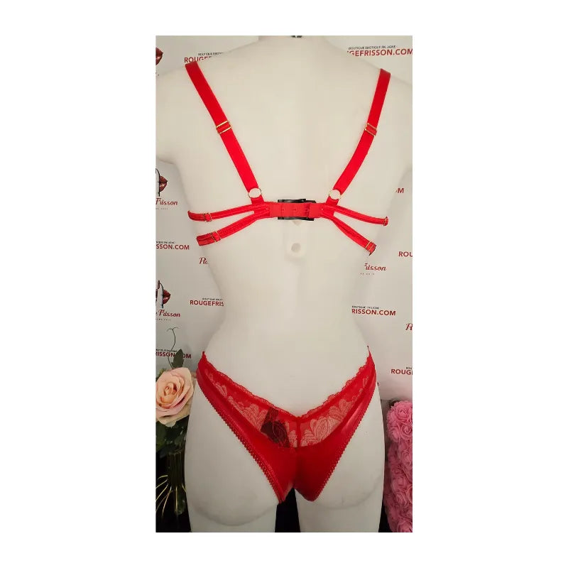 ensemble aliosa - Rouge Frisson, Boutique Erotique en Ligne